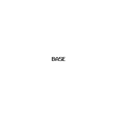 BASE