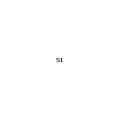 S1