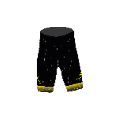 TEAM 2023 SHORT